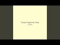 Forest Fragments Pulse