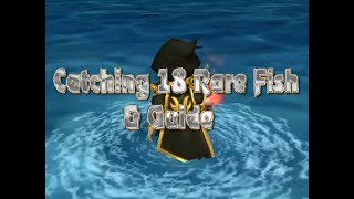 Wizard101 : Catching 18 Rare Fish