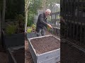 how to plant garlic bulbs 🧄