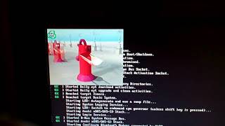 Nice: "A small ffmpeg-based framebuffer media player"