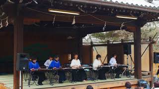 【となりのトトロ】大正琴奉納演奏 道明寺天満宮 梅まつり