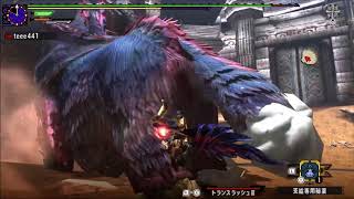 [MHXXNS] 闘技大会 ガムート スラアク ソロS