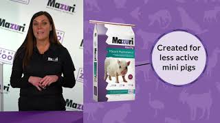 Mazuri Feed for Mature Mini Pigs