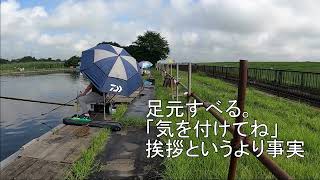 ヘラブナ釣り・吉川へら鮒センター（埼玉県）・2021/7/16