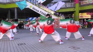 第１１回　ドリーム夜さ来い祭り－よさこい明日風