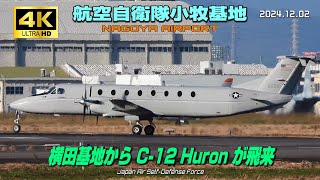 【4K】航空自衛隊小牧基地　横田基地から C-12ヒューロン が飛来