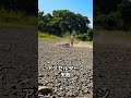 dirtbike アクセルターン バイク練習