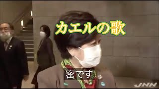 【カエルの歌】小池都知事「密です」