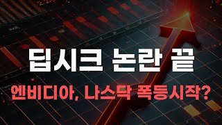 [미국주식]딥시크 논란 끝 엔비디아, 나스닥 폭등시작? [엔비디아, 테슬라, 아이온큐, 브로드컴, 애플]