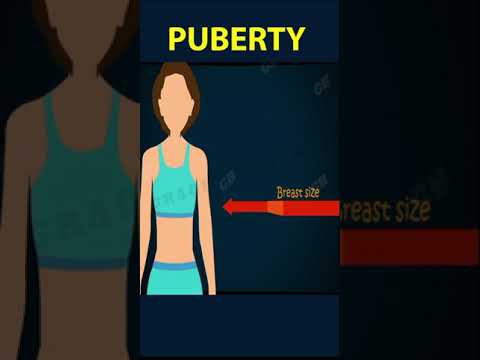 What is required for sexual reproduction quizlet?