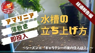 アマ薄敷き即投入水槽の立ち上げ方〜経過報告編（2022年10月）〜