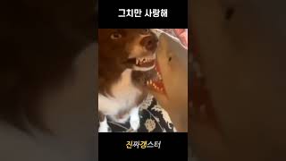 강력한 이빨을 드러내는