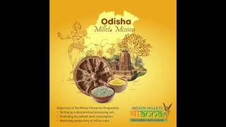 Odisha leads the way in boosting millet production | Indian Millets