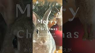 メリークリスマス!／うさぎのこむぎどうがショート　#うさぎ #ウサギ #rabbit #bunny #クリスマス #xmas