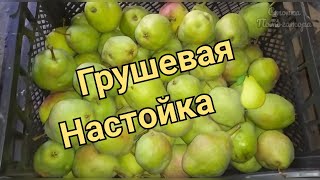 Грушевая настойка - вкусная настойка на сочной груше 🍐🍷🍐