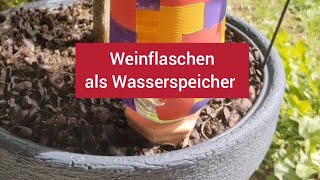 #Wasser sparen mit #Wasserspeicher aus #Weinflaschen 💧 #Bewässerungssystem mit #Tonkegeln