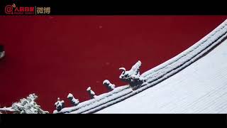 2019年故宫初雪 First snow at the Forbidden City in 2019