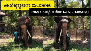 അടിക്കല്ലേ പാപ്പാനെ 🐘 കർണ്ണവതാരം❤️ akkaramel mohanan 🔥 mangalaamkunnu karnan #festival #videos