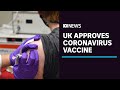 UK approves Pfizer-BioNTech COVID-19 vaccine, which will roll out from next week | ABC News