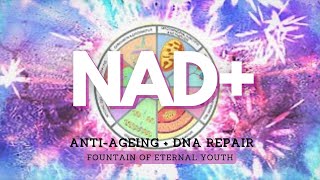 ❋ Powerful NAD+ ~ Anti-Ageing + DNA Repair ~ Fountain of Eternal Youth ~ Gentle Rain Sounds