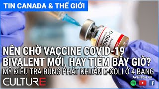 🔴TIN CANADA & TG CHIỀU 20/08 | Nên chờ vaccine COVID bivalent mới hay tiêm bây giờ?