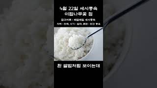 4월 22일 매일매일 세시풍속 이팝나무꽃 점