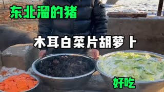 今天给兄弟们整一锅地三鲜，我喝汤 你们吃肉！