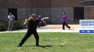 Rich Dicine, Hunyuan Tai Chi, 2018 WTCD @ Yale