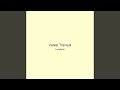 Velvet Tranquil