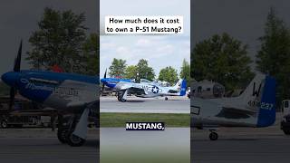 It costs how much to own a P-51?? Let’s show you an option that costs 1/10 the price. #airplane #p51