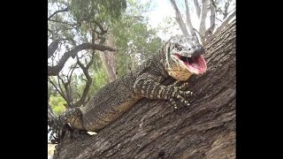 Gorter Brothers Adventures, Arkaroola & Wilpena Pound 2024, Day 8