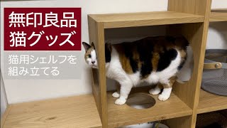 【無印良品】三毛猫と猫用シェルフを組み立てる