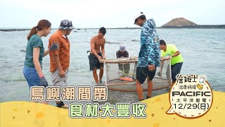 《精采預告》澎湖｜鳥嶼潮間帶 食材大豐收-第291集-2024/12/29