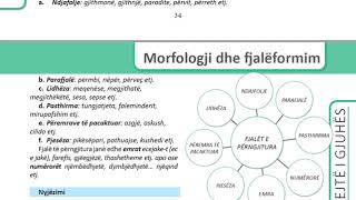 Gjuha Shqipe 12 Filara Mesimi 2 4 Mënyra të tjera të formimit të fjalëve