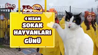 Eti Benim'O - 4 Nisan Dünya Sokak Hayvanları Günü! 🧡