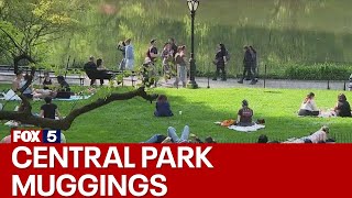 Central Park muggings