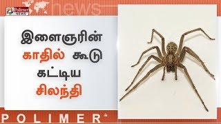 இளைஞரின் காதில் கூடு கட்டிய சிலந்தி