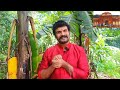 ബദരീനാഥ് ക്ഷേത്രത്തിലേക്ക് ഒരു യാത്ര badrinath temple vishnutalks malayalam