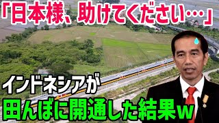 【総集編】ウソだらけのインドネシア高速鉄道が遂に開業…行先は田んぼのど真ん中!街まで15分は大嘘!日本を振ったインドネシア政府は「中国依存」脱せず…「日本に頼んでおけば…」【海外の反応】