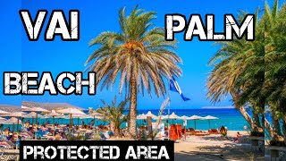 Vai palm 🌴beach ⛱️ in crete Island greece/have a tropical feeling in Europe 🇪🇺 #travelgreece