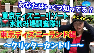 【東京ディズニーリゾート】水飲み場調査隊!!東京ディズニーランド編〜クリッターカントリー〜