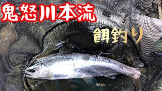 鬼怒川本流餌釣りで尺山女魚を狙う。