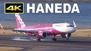 [4K] レア映像！羽田空港に着陸するピーチ / Peach Airbus A320-251N [JA201P]