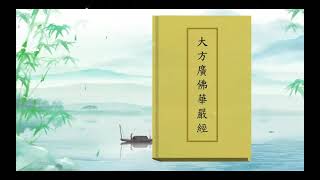 《大方廣佛華嚴經》 卷六十三    第九講    20231010       编号（51）