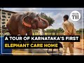 A tour of Karnataka's first elephant care home | The Hindu