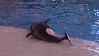 Makani Playing on the Slideout