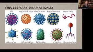 Coronavirus and the Future of Immunotherapy