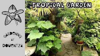 Tropical Garden Visit with Rare & Unusual Plants || Medina Garden, Dublin