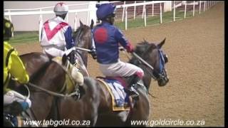 20161014 Greyville Race 4 won by NEWYORKSTATEOFMIND