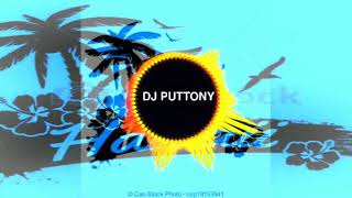 DJ PUTTONY- Hawaii megcsúszós